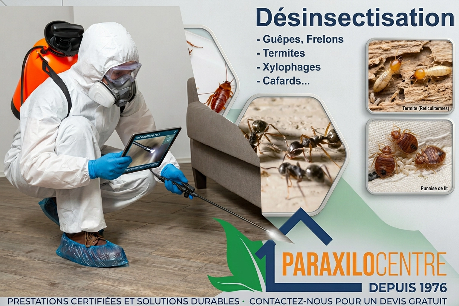Application de gel anti cafards et pulvérisation insecticide