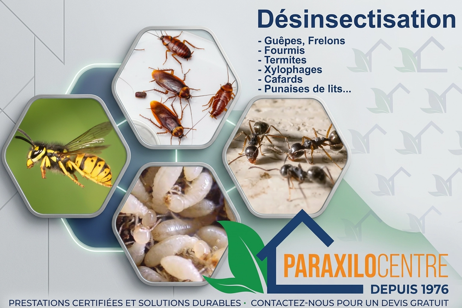 Traitement professionnel cafards termites fourmis et punaises de lit